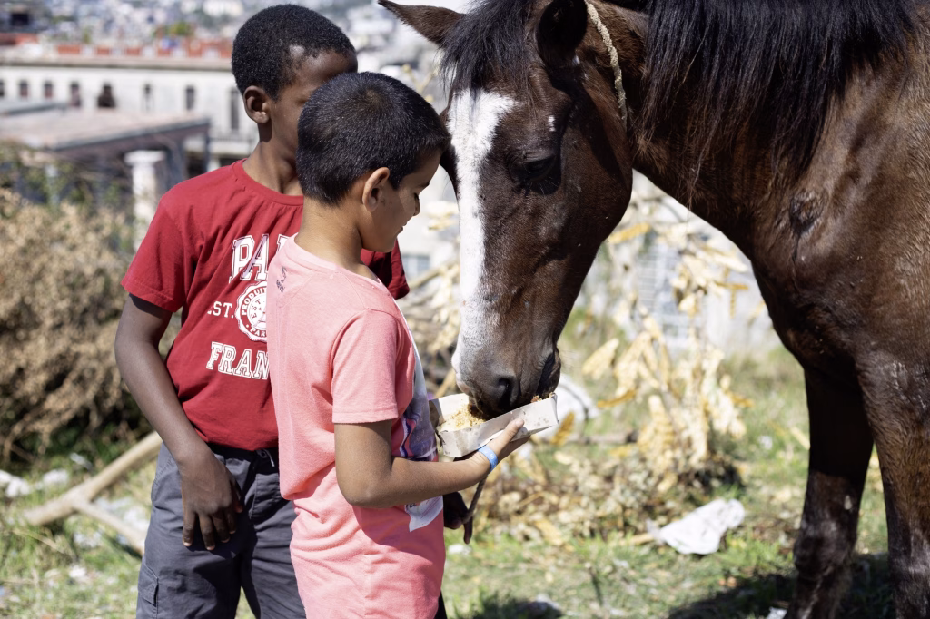 S/T – Hay un niño en la calle