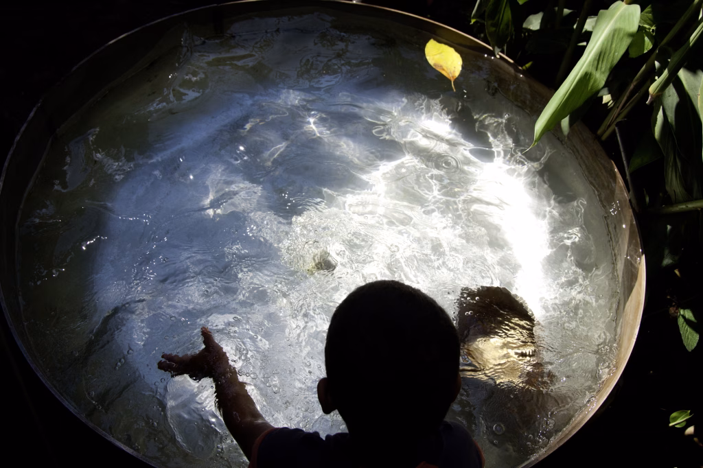 S/T – Hay un niño en la calle