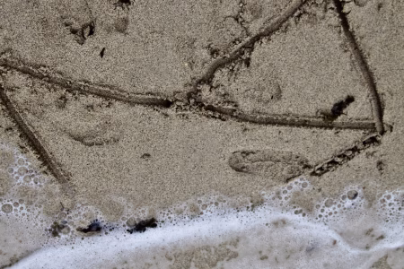 Las playas de Sabina