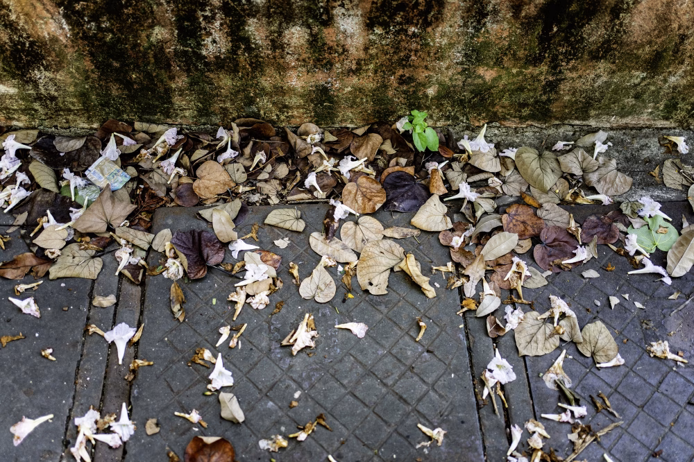 La ciudad siempre tiene algo que ofrecerme