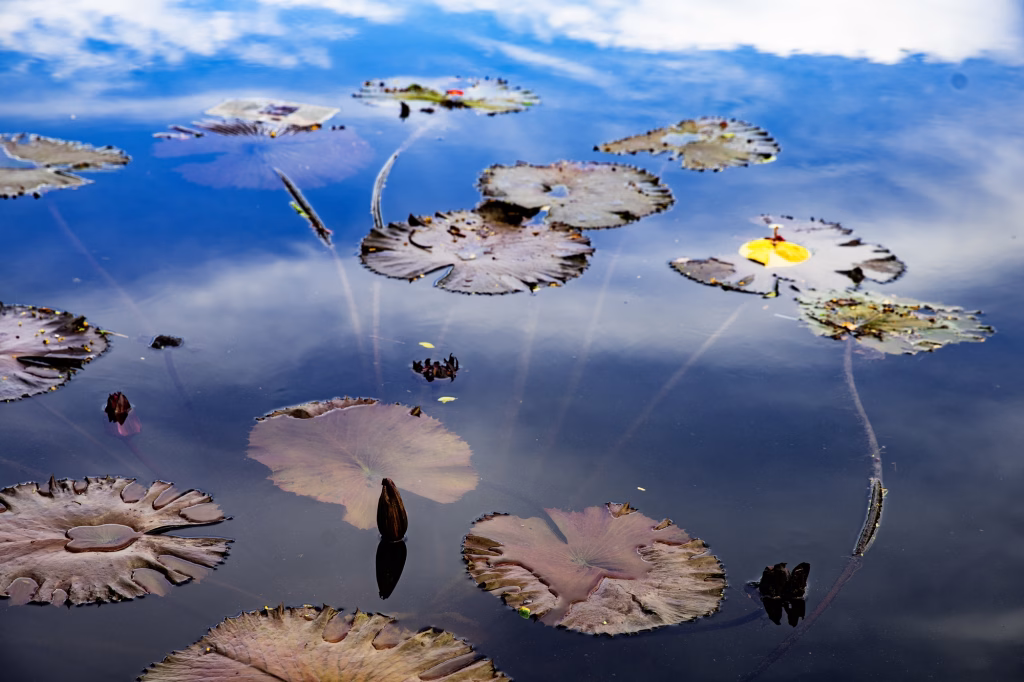 S/T – La ciudad siempre tiene algo que ofrecerme