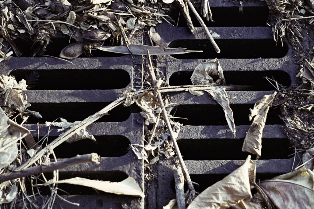 S/T – La ciudad siempre tiene algo que ofrecerme