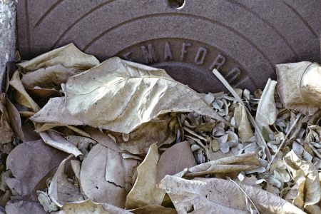 La ciudad siempre tiene algo que ofrecerme