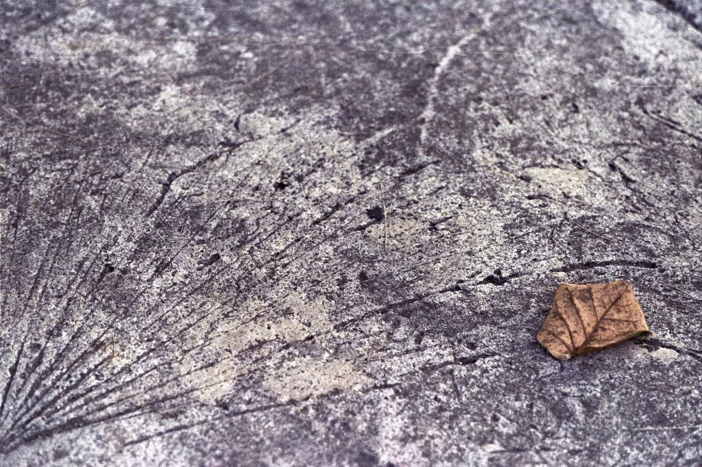 S/T – La ciudad siempre tiene algo que ofrecerme