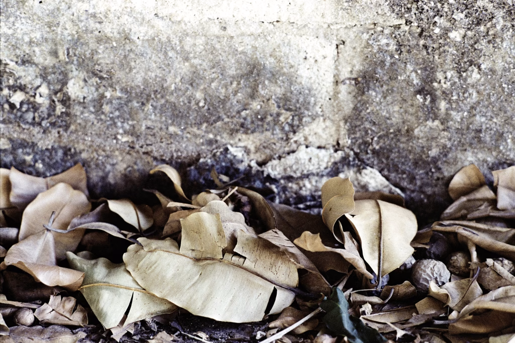 S/T – La ciudad siempre tiene algo que ofrecerme