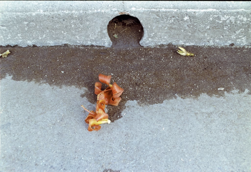 S/T – La ciudad siempre tiene algo que ofrecerme