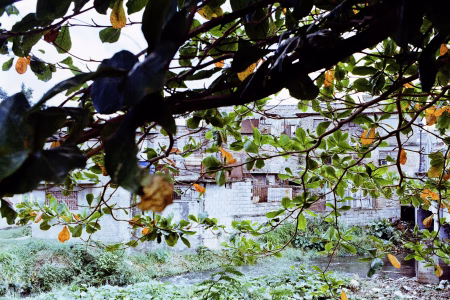 La ciudad siempre tiene algo que ofrecerme