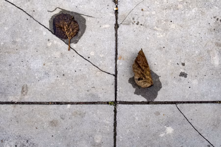 La ciudad siempre tiene algo que ofrecerme