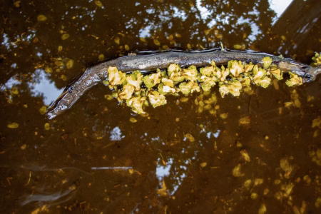 La ciudad siempre tiene algo que ofrecerme