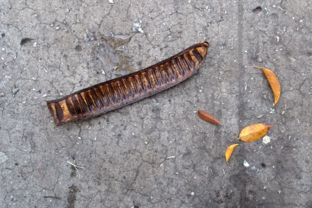 La ciudad siempre tiene algo que ofrecerme