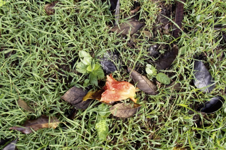 La ciudad siempre tiene algo que ofrecerme