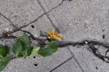 La ciudad siempre tiene algo que ofrecerme