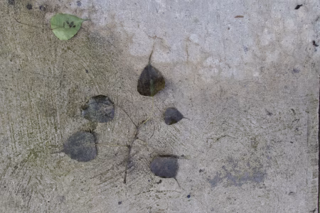 La ciudad siempre tiene algo que ofrecerme