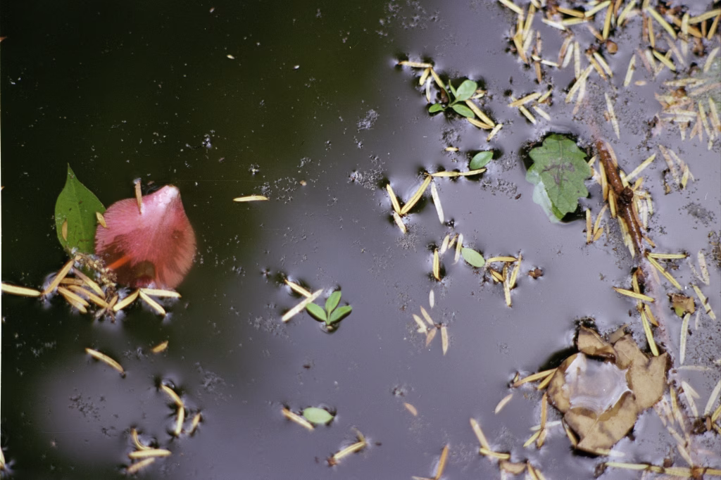 S/T – La ciudad siempre tiene algo que ofrecerme