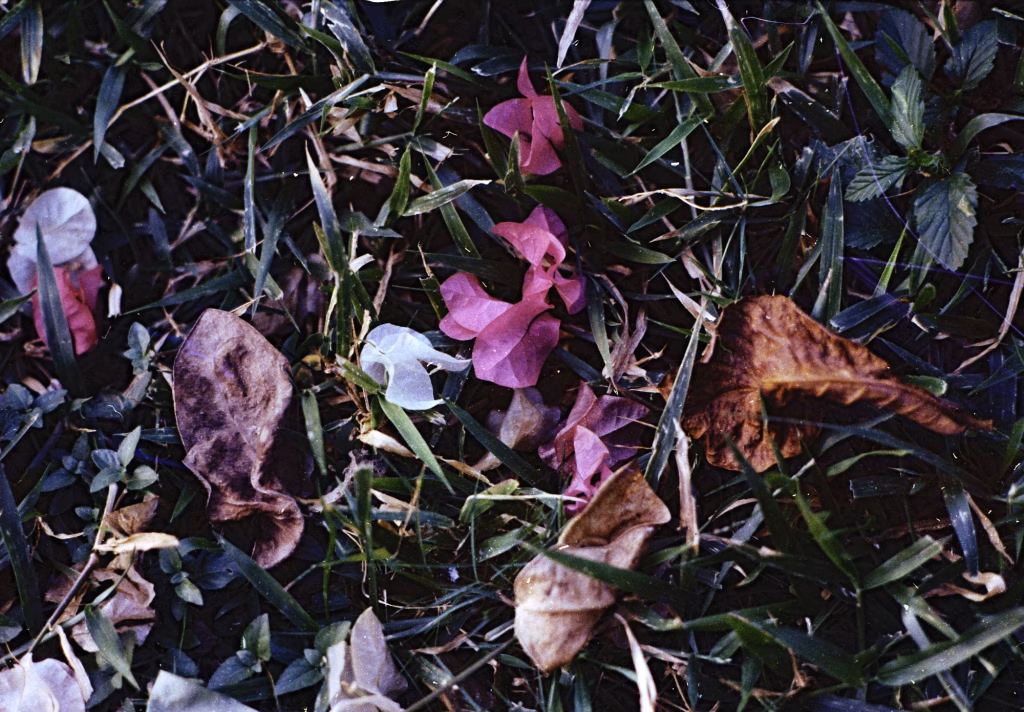 S/T – La ciudad siempre tiene algo que ofrecerme