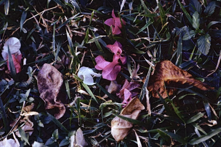 La ciudad siempre tiene algo que ofrecerme