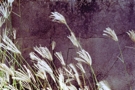 La ciudad siempre tiene algo que ofrecerme