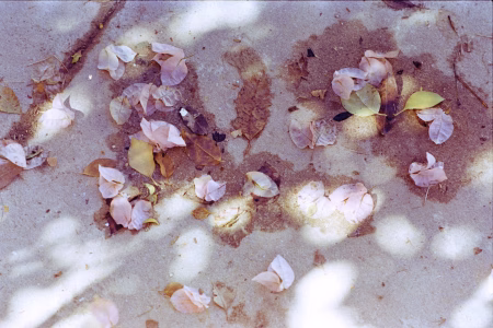 La ciudad siempre tiene algo que ofrecerme