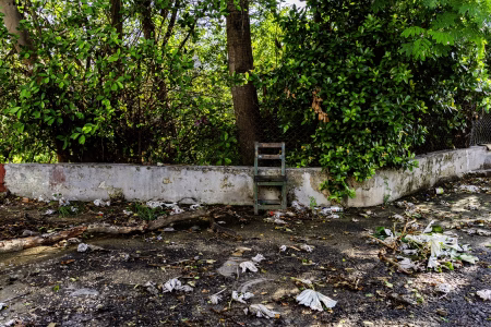 Están bajo la sobra