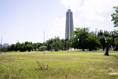 Están bajo la sobra
