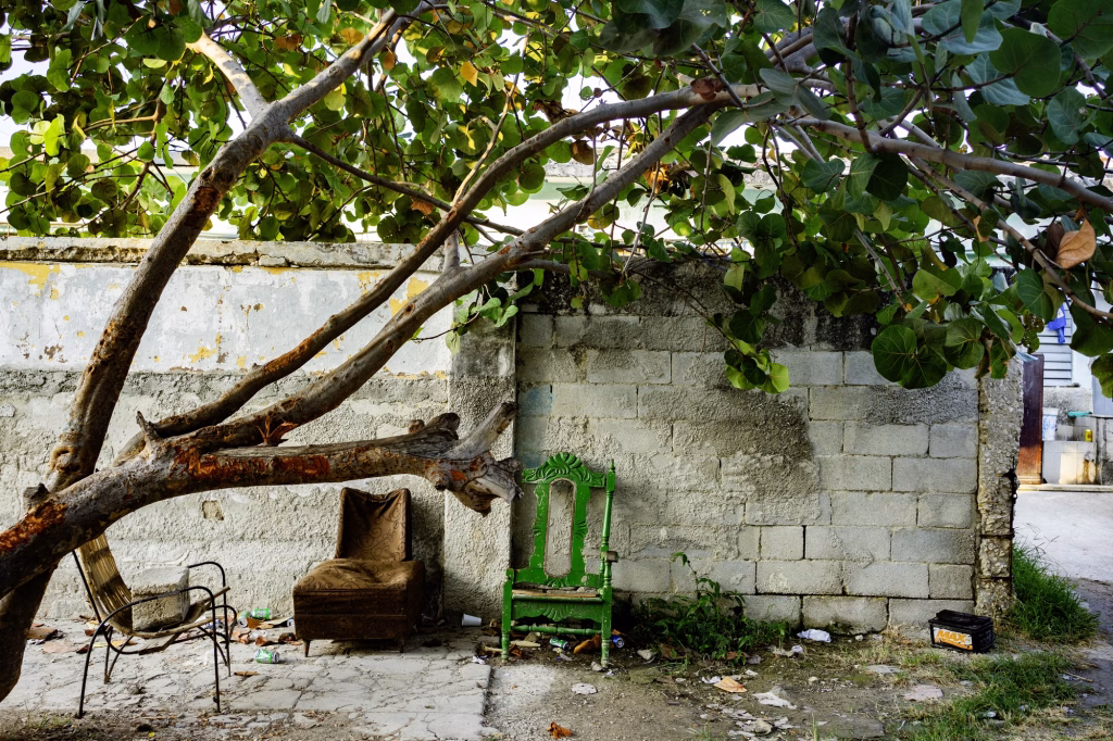 S/T – Están bajo la sobra