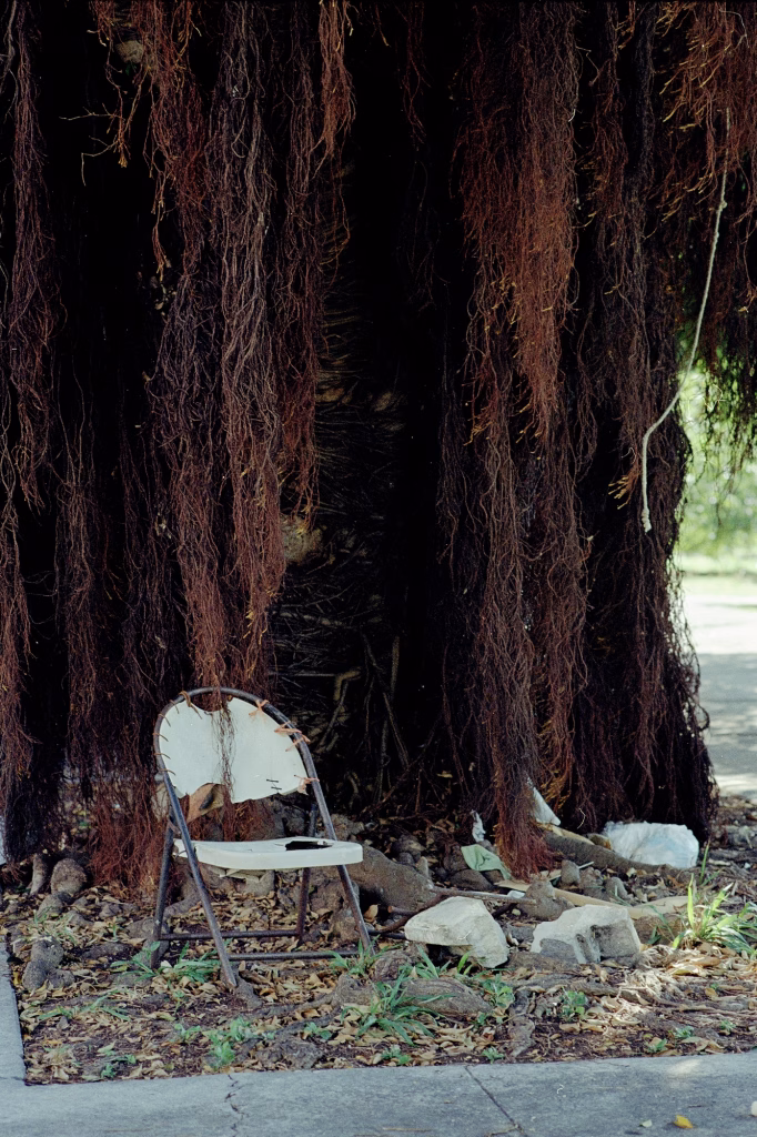 S/T – Están bajo la sobra