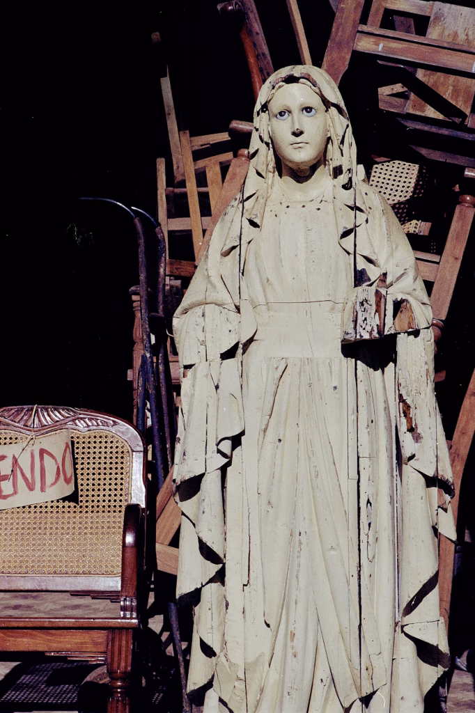 S/T – Están bajo la sobra